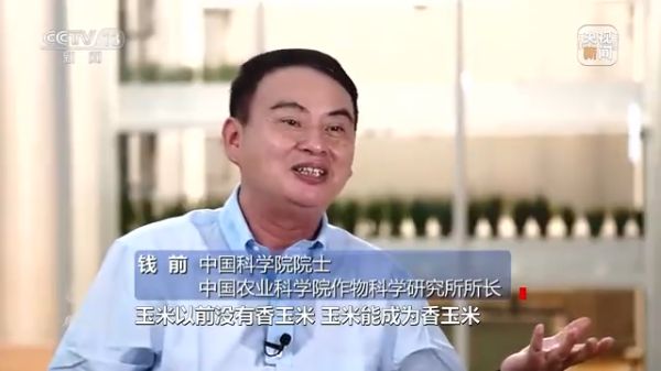 usdt全球娱乐城集团,长沙杀虫剂,长沙光气衍生物,长沙氨基酸保护剂,长沙锂离子电池材料