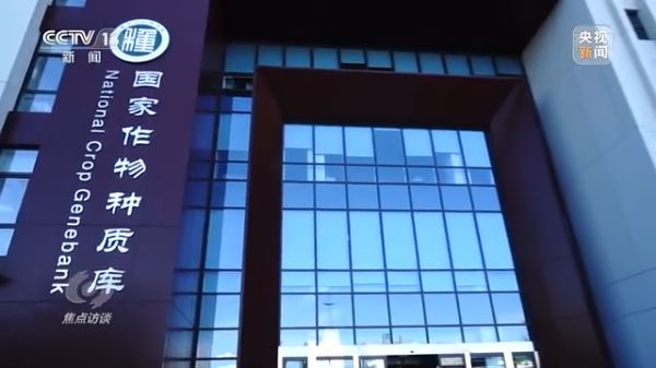 usdt全球娱乐城集团,长沙杀虫剂,长沙光气衍生物,长沙氨基酸保护剂,长沙锂离子电池材料