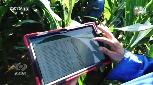 usdt全球娱乐城集团,长沙杀虫剂,长沙光气衍生物,长沙氨基酸保护剂,长沙锂离子电池材料