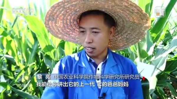 usdt全球娱乐城集团,长沙杀虫剂,长沙光气衍生物,长沙氨基酸保护剂,长沙锂离子电池材料