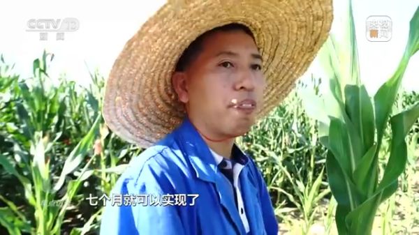 usdt全球娱乐城集团,长沙杀虫剂,长沙光气衍生物,长沙氨基酸保护剂,长沙锂离子电池材料