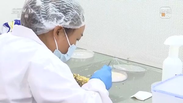 usdt全球娱乐城集团,长沙杀虫剂,长沙光气衍生物,长沙氨基酸保护剂,长沙锂离子电池材料