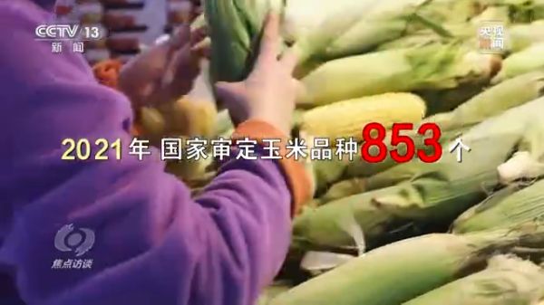 usdt全球娱乐城集团,长沙杀虫剂,长沙光气衍生物,长沙氨基酸保护剂,长沙锂离子电池材料